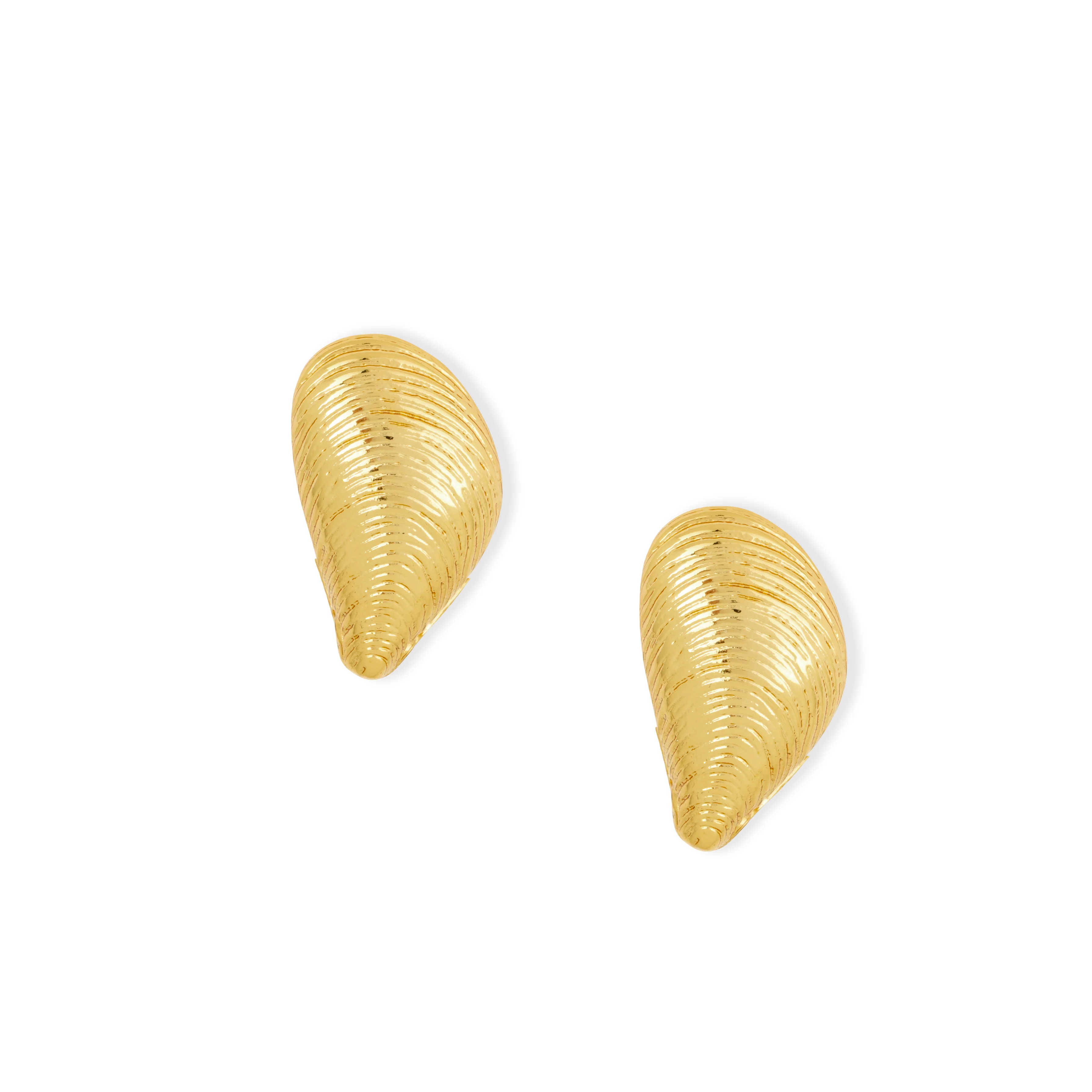 Mussel Shell Earrings Gold