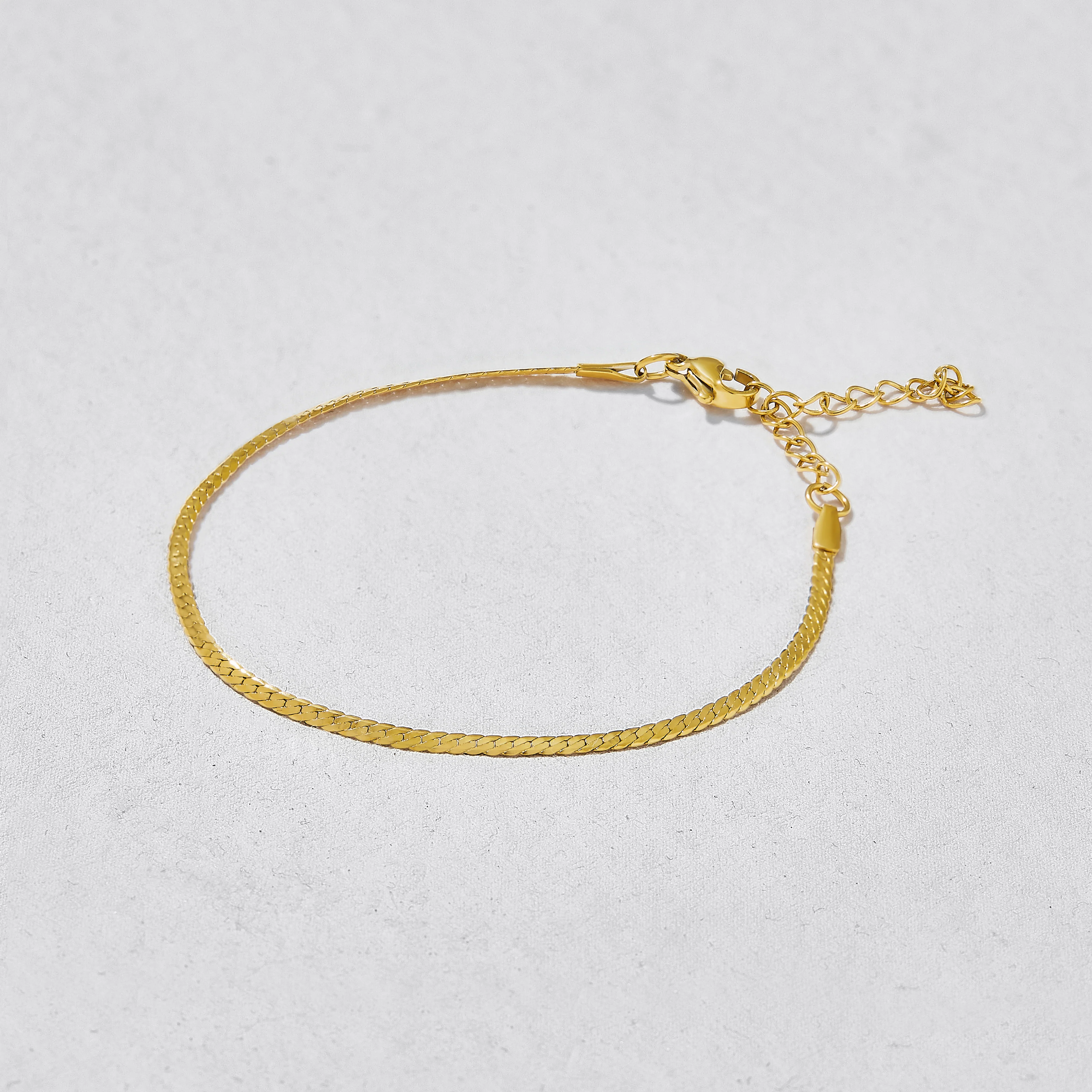 Siesta Flat Snake Chain Anklet