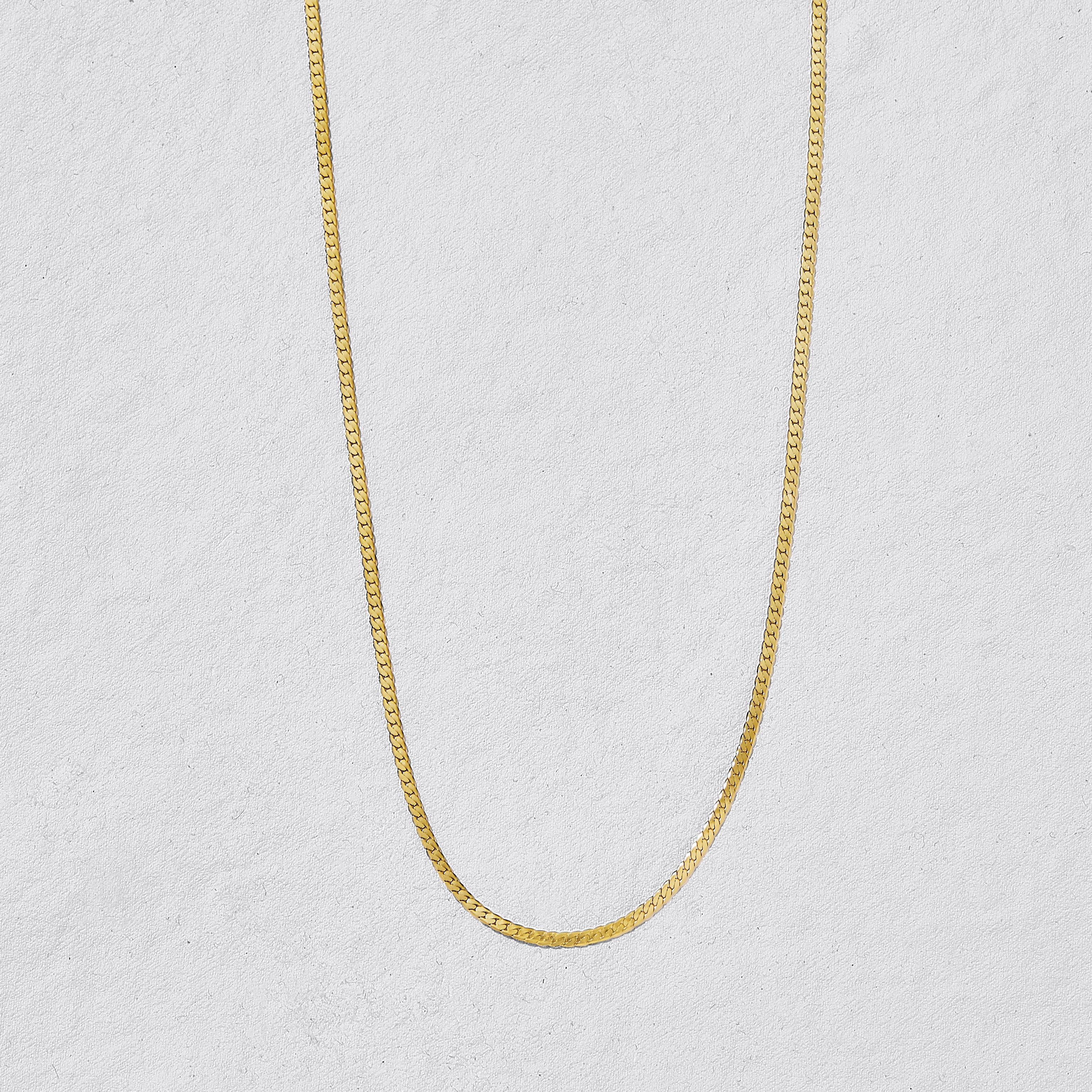 Siesta Flat Snake Chain Necklace